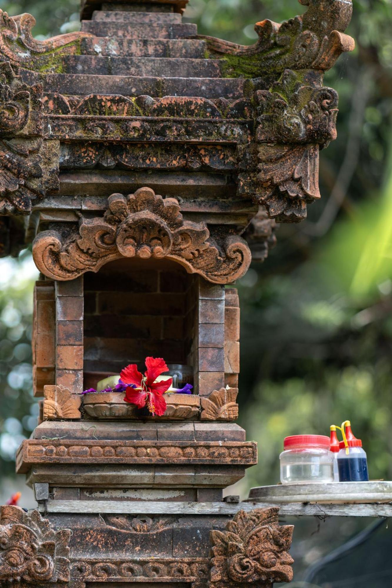 Premadhan Cottage Canggu المظهر الخارجي الصورة