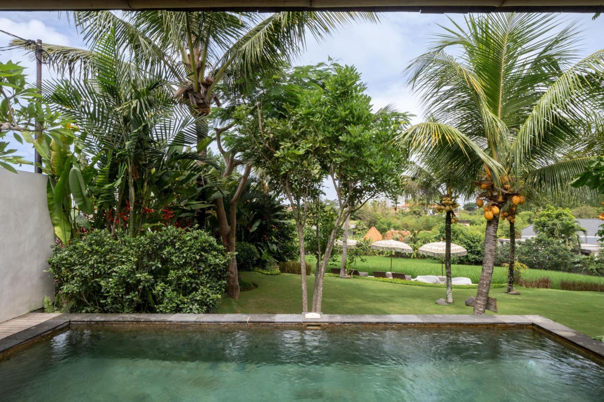 Premadhan Cottage Canggu المظهر الخارجي الصورة