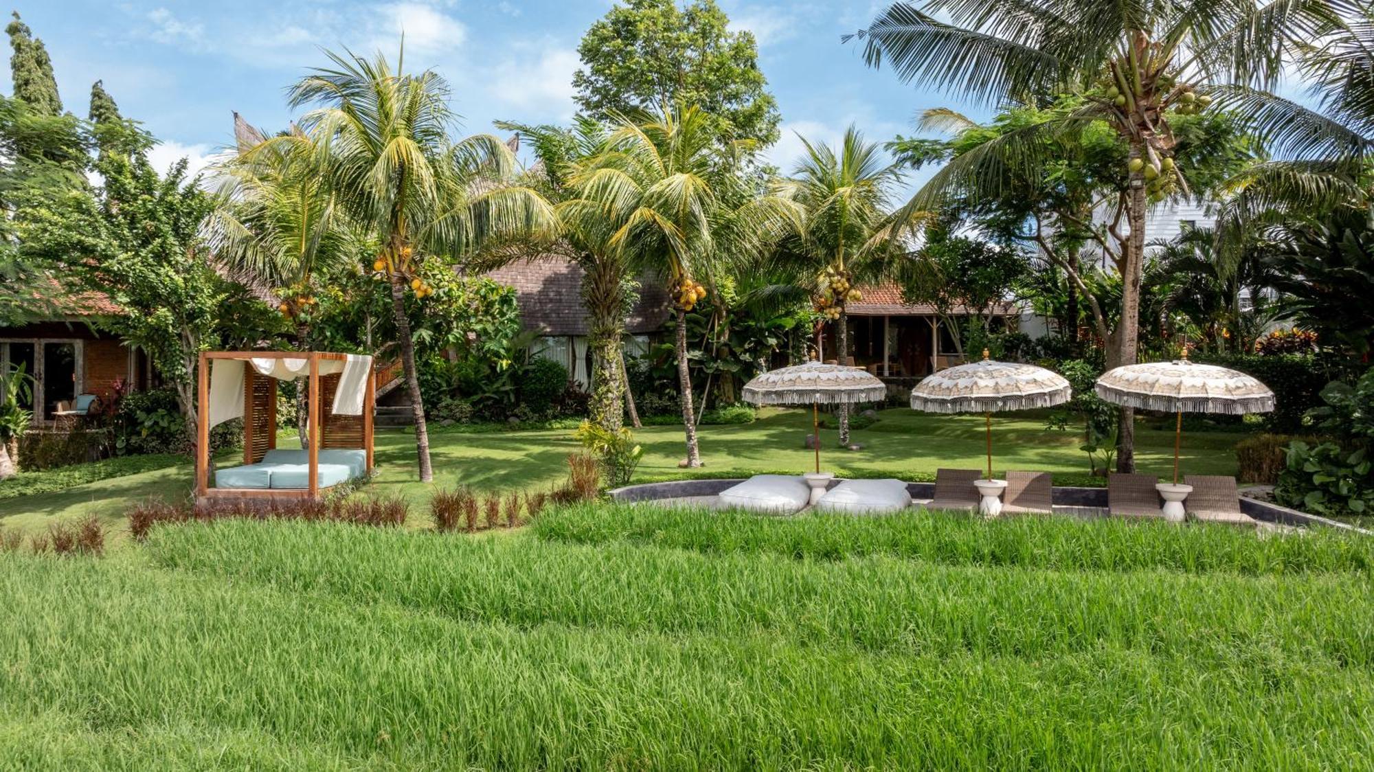 Premadhan Cottage Canggu المظهر الخارجي الصورة